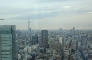 秋葉原からの眺め