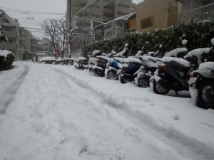 大雪の様子